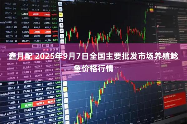 鑫月配 2025年9月7日全国主要批发市场养殖鲶鱼价格行情