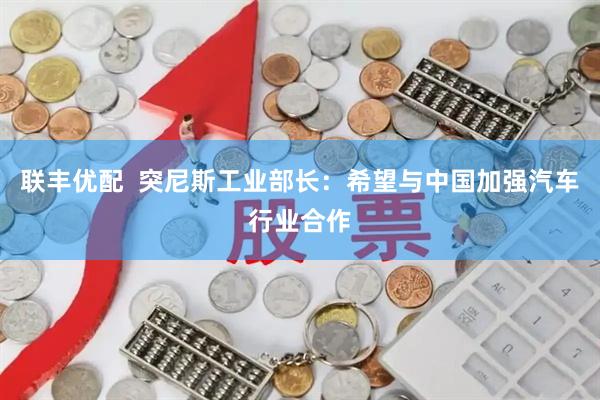 联丰优配  突尼斯工业部长：希望与中国加强汽车行业合作