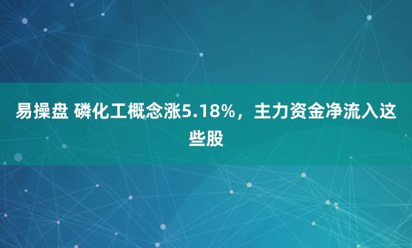 易操盘 磷化工概念涨5.18%，主力资金净流入这些股